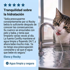Fuente PureFlow con el agua en movimiento