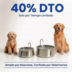 Perro bebiendo de la fuente de agua PureFlow
