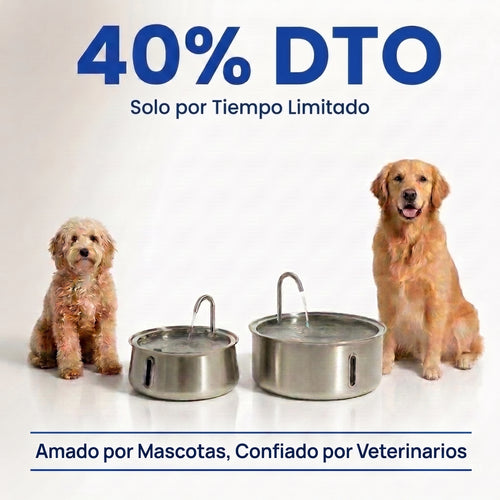 Perro bebiendo de la fuente de agua PureFlow